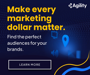 genProgMockTest-300x250 Agility agency display ad